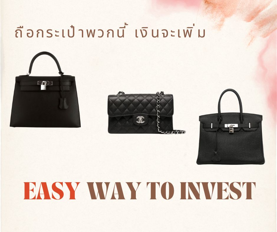 Read more about the article Invest in a bag, which one to choose?