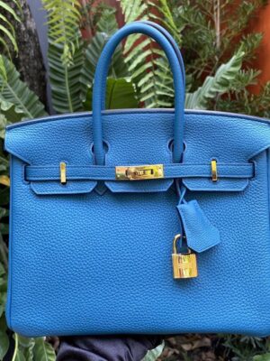 Used Like New Hermes Birkin 25 Togo GHW Stamp#X💕