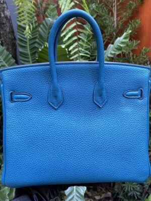 Used Like New Hermes Birkin 25 Togo GHW Stamp#X💕