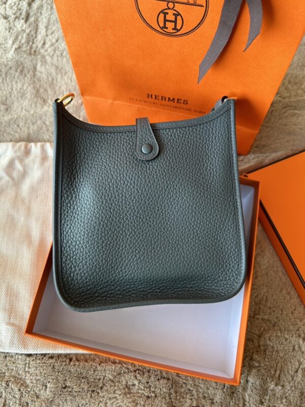 Hermes Mini Evelyne