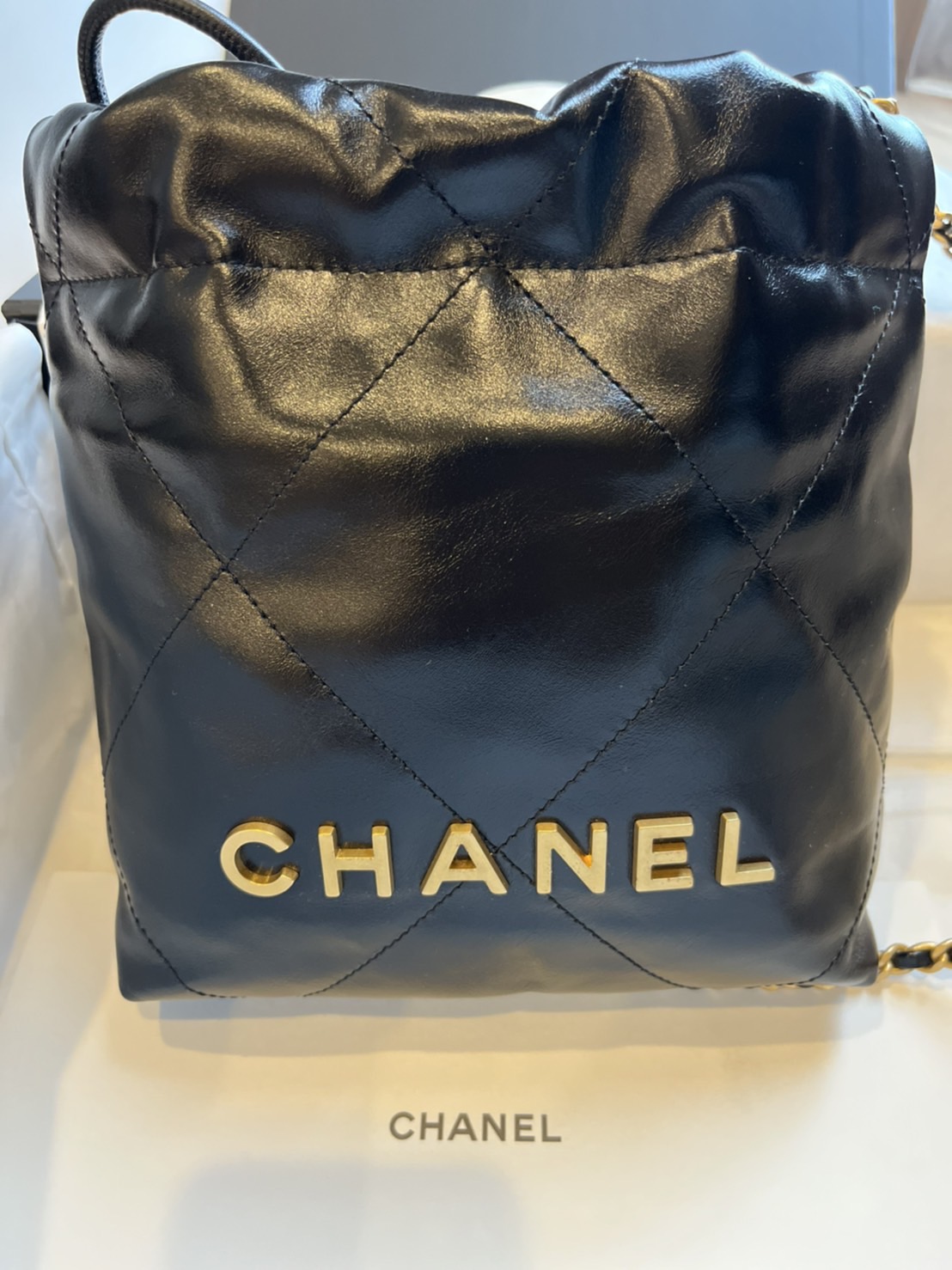 Chanel Hobo