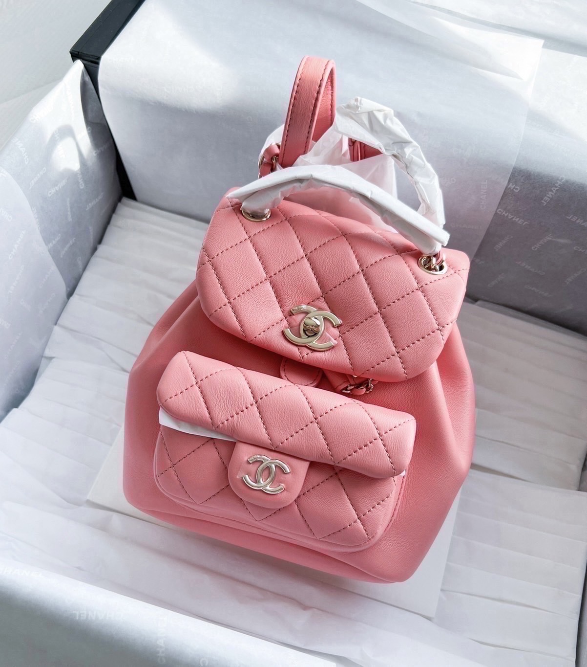 Chanel DUMA Backpack