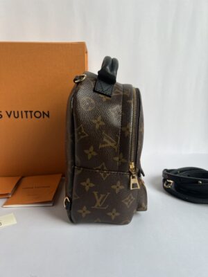 Used like very new lv palm spring y20