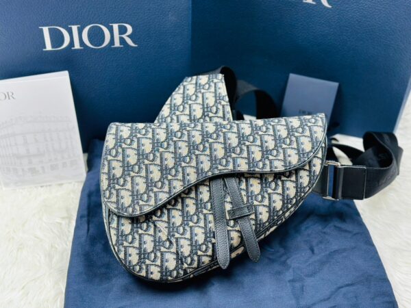 dior saddle medium belt bag