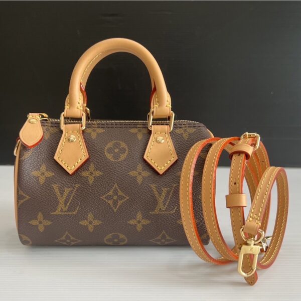 Louis Vuitton Bag