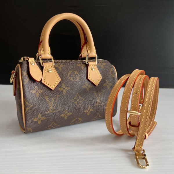 Louis Vuitton Bag