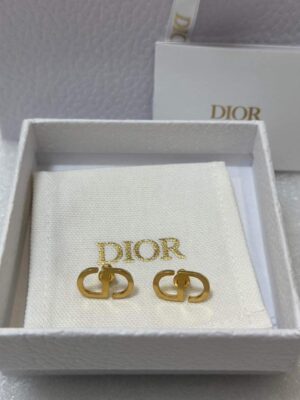 New Dior Earrings