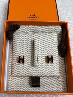 New Hermes Earrings