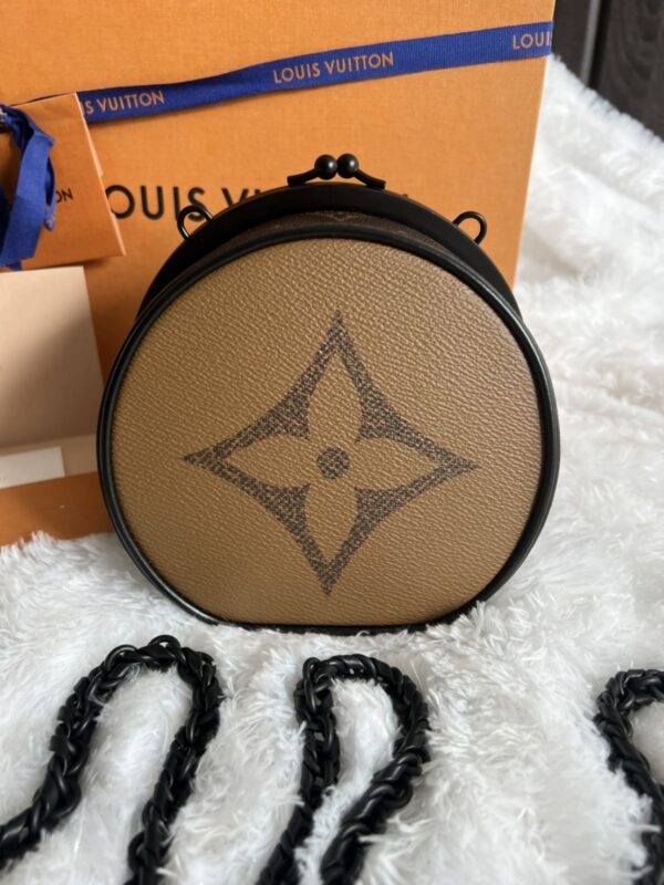 Louis Vuitton Bag