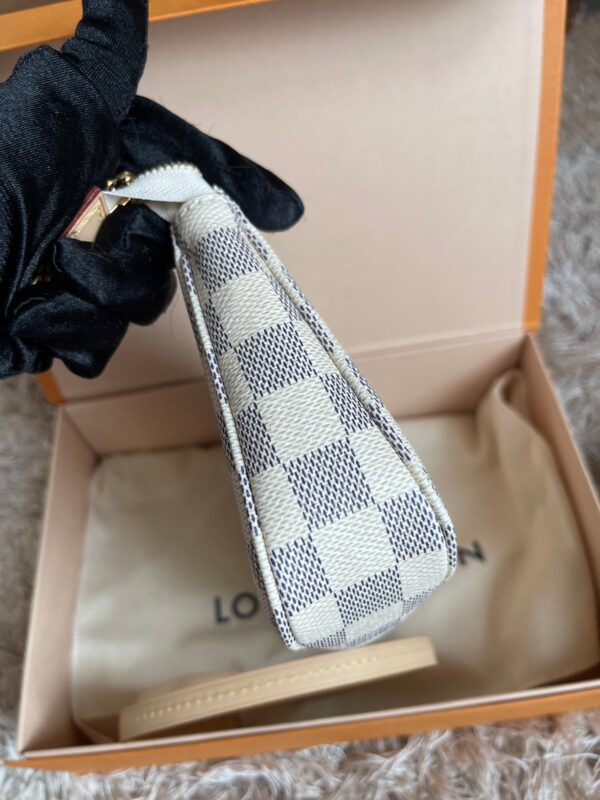 Louis Vuitton Pouch