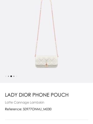 very like new DIOR Pouch 7.5′ ปี 2022